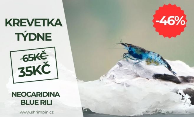 Sleva až 46% na Neocaridina Blue Rili krevety. Jen tento týden na našem eshopu
